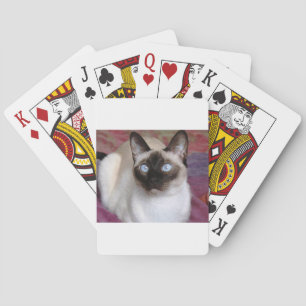 SIAMESE BEAUTY PLAYING CARDS