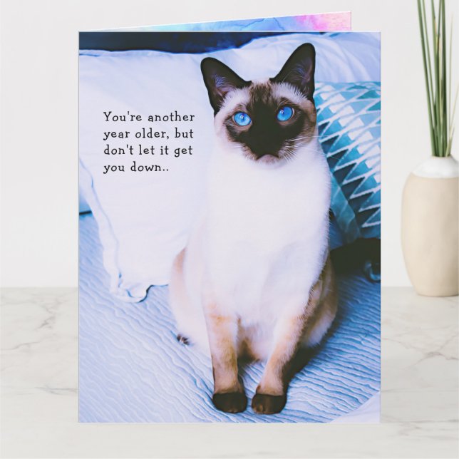 Siamese Birthday Greeting Card (Front)