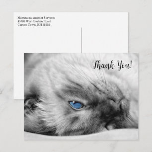 Siamese Blue Eyed Cat Thank You Postcard