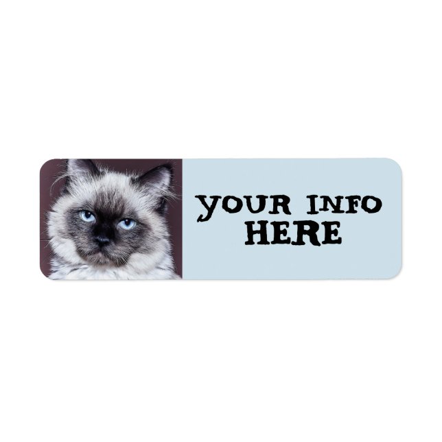 SIAMESE  BLUE EYED PERSIAN  RETURN ADDRESS LABELS (Front)