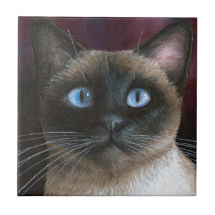 Siamese Cat 548 Tile