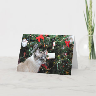 Siamese Cat and Christmas tree Holiday Card
