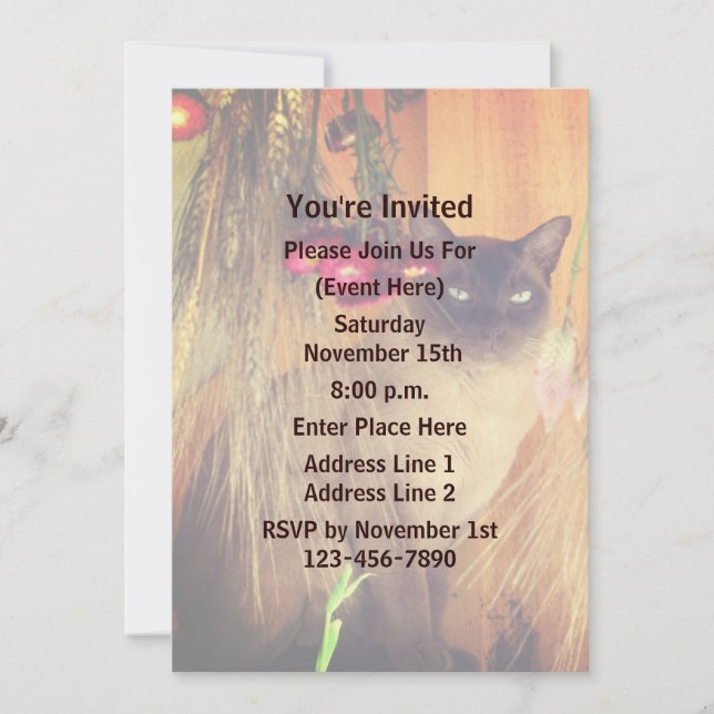 Siamese Cat Animal Party Invitation (Front)