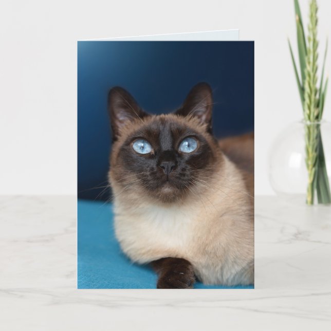  SIAMESE CAT BIRTHDAY BEAUTIFUL Greeting Card (Front)