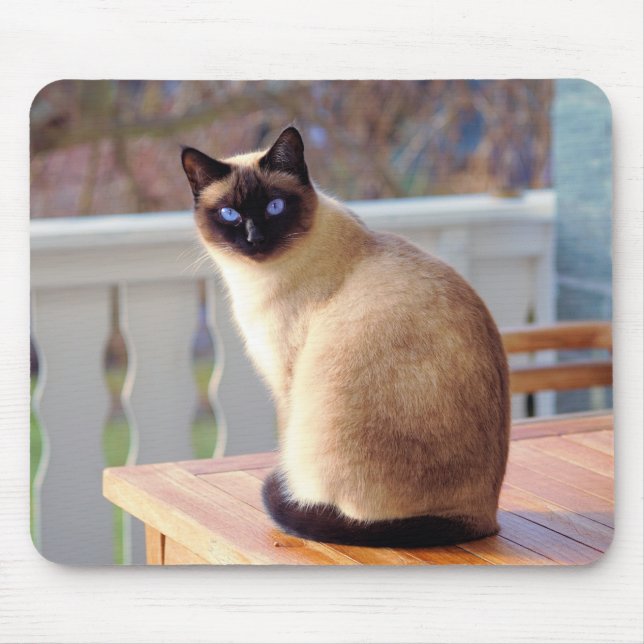 Siamese Cat, Blue Eyes Mouse Mat (Front)