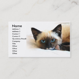 Siamese Cat Business Card