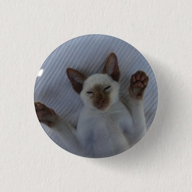 Siamese cat button (Front)