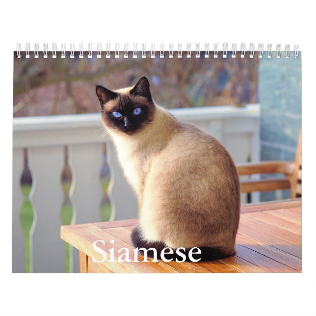 Siamese Cat Calendar (Cover)