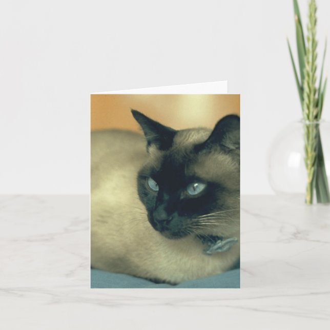 Siamese Cat Card (Front)