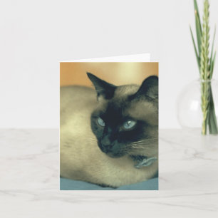 Siamese Cat Card