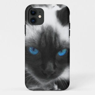 Siamese Cat iPhone 11 Case