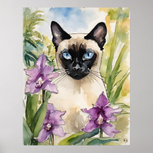 Siamese Cat - Cat Art Print