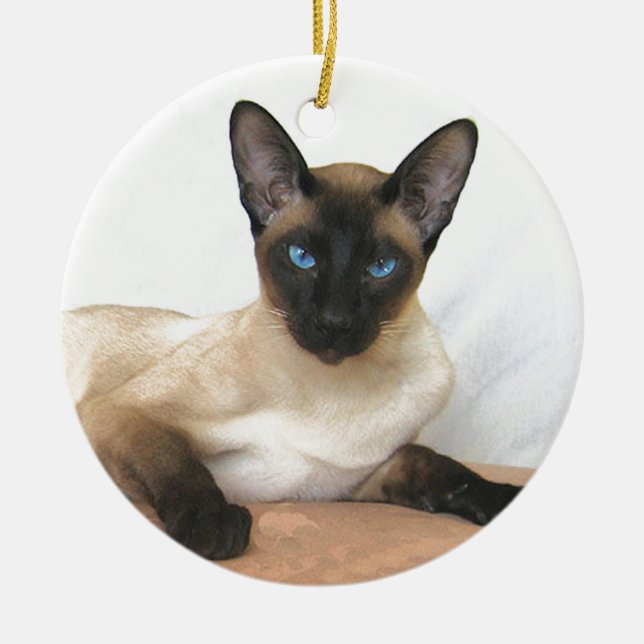 Siamese Cat Ceramic Tree Decoration (Front)