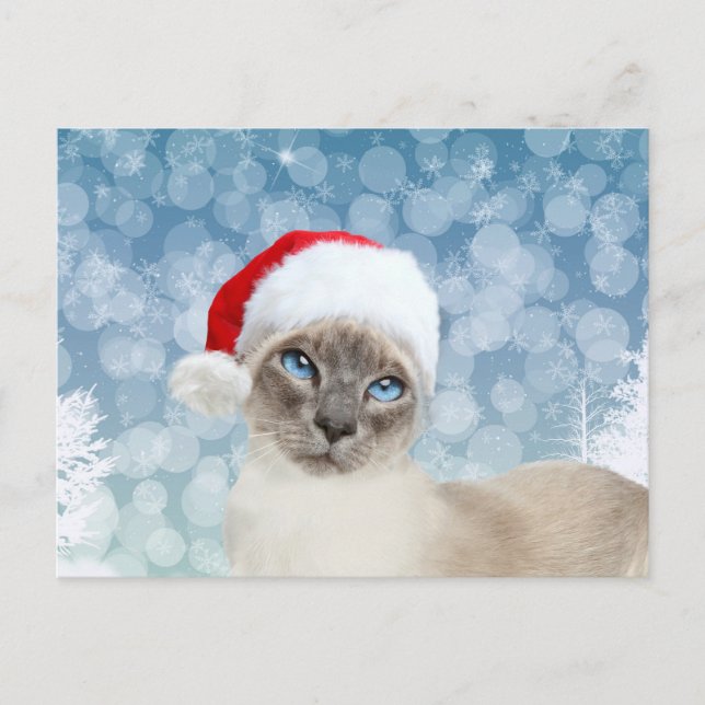 Siamese cat Christmas Holiday Postcard (Front)