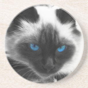 Siamese Cat Coaster