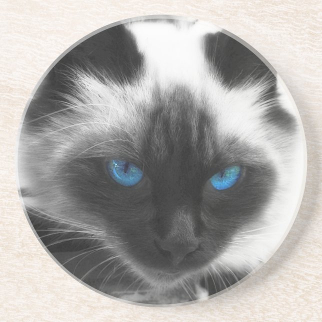 Siamese Cat Coaster (Front)