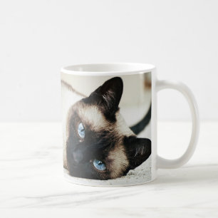 Siamese Cat Coffe Mug