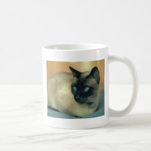Siamese cat coffee mug