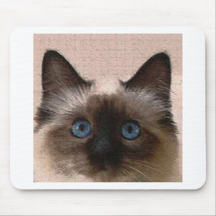 siamese cat crackle old aged cracked Hi Hello Mouse Mat