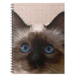 siamese cat crackle old aged cracked Hi Hello Notebook
