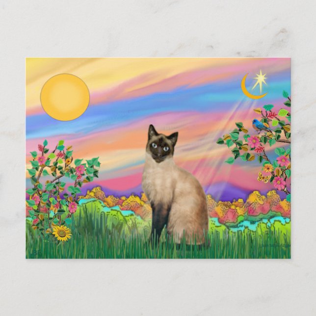 Siamese Cat - Day Star Postcard (Front)