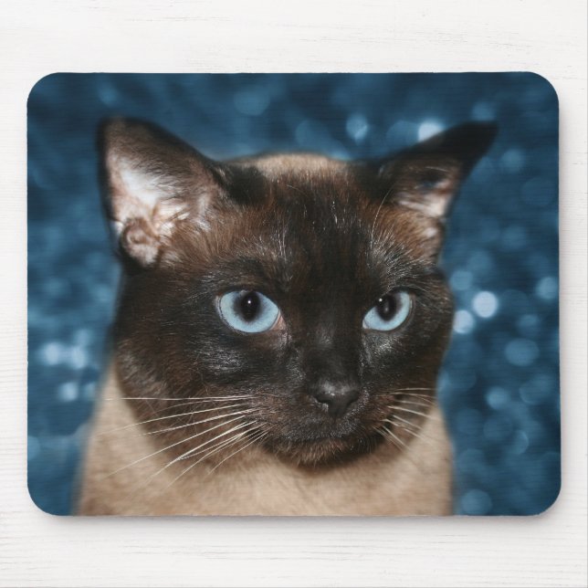 Siamese cat face mouse mat (Front)