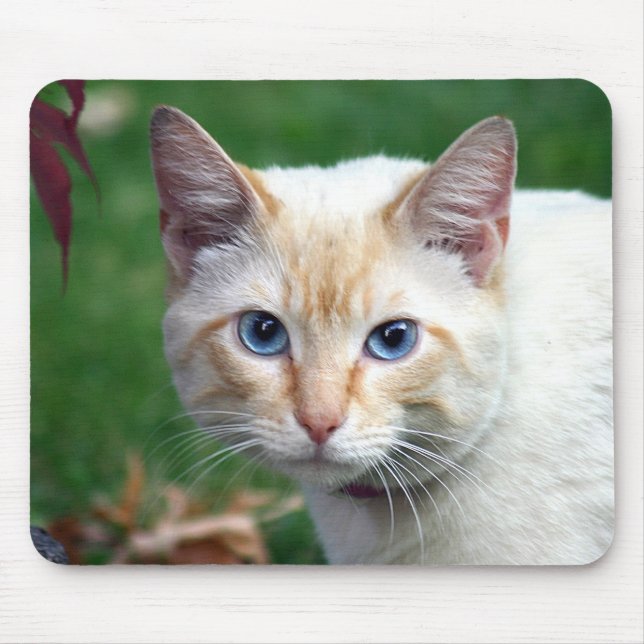 Siamese cat face mousepad (Front)