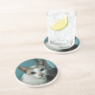 Siamese Cat Friend Coaster