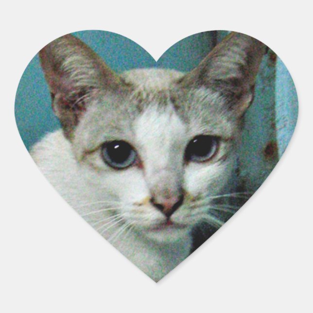 Siamese Cat Friend Heart Sticker (Front)