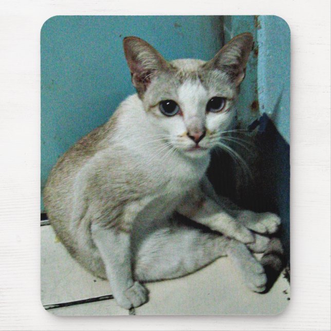 Siamese Cat Friend Mouse Mat (Front)
