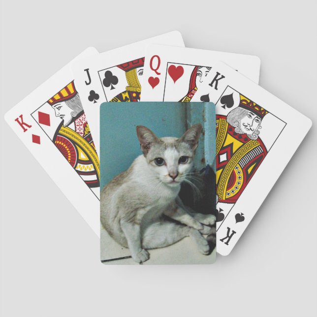 Siamese Cat Friend Playing Cards (Back)