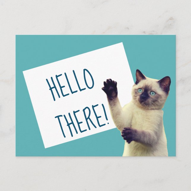 Siamese Cat Hello There Custom Message Postcard (Front)