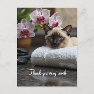 Siamese Cat in Spa Thank you  Postcard