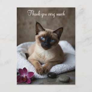 Siamese Cat in Spa Thank you  Postcard