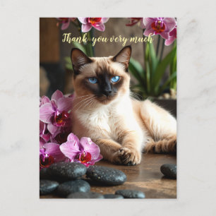 Siamese Cat in Spa thank you very much  Postcard