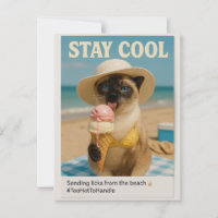 Siamese Cat is licking ice cream stay cool 