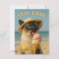 Siamese Cat is licking ice cream stay cool