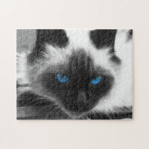 Siamese Cat Jigsaw Puzzle