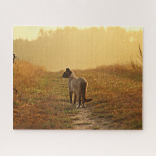 Siamese Cat Jigsaw Puzzle