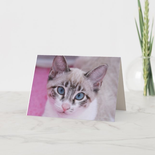 SIAMESE CAT KITTEN BIRTHDAY Greeting Card (Front)