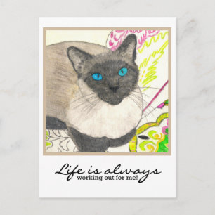 Siamese Cat - "Life is always working out for me!" Postcard