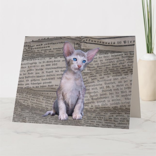 SIAMESE CAT LOVE BIRTHDAY NEWSPAPER ART Card (Front)