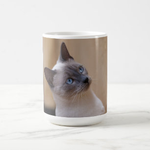 Siamese Cat Magic Mug