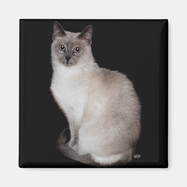 Siamese Cat Magnet (Front)