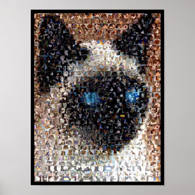 siamese Cat Montage Poster (Front)