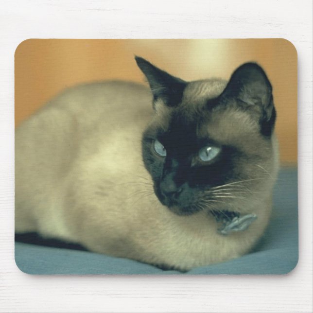 Siamese cat mouse mat (Front)