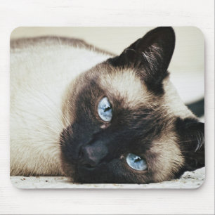 Siamese Cat Mouse Mat