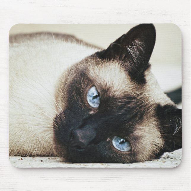 Siamese Cat Mouse Mat (Front)
