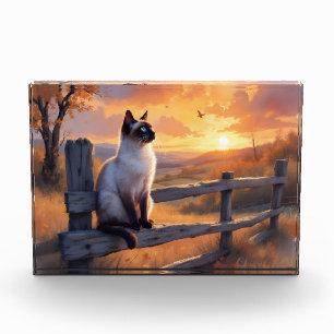 Siamese cat on split rail fence photo block