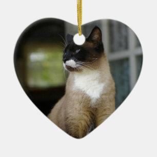 Siamese Cat on the Porch Ceramic Tree Decoration